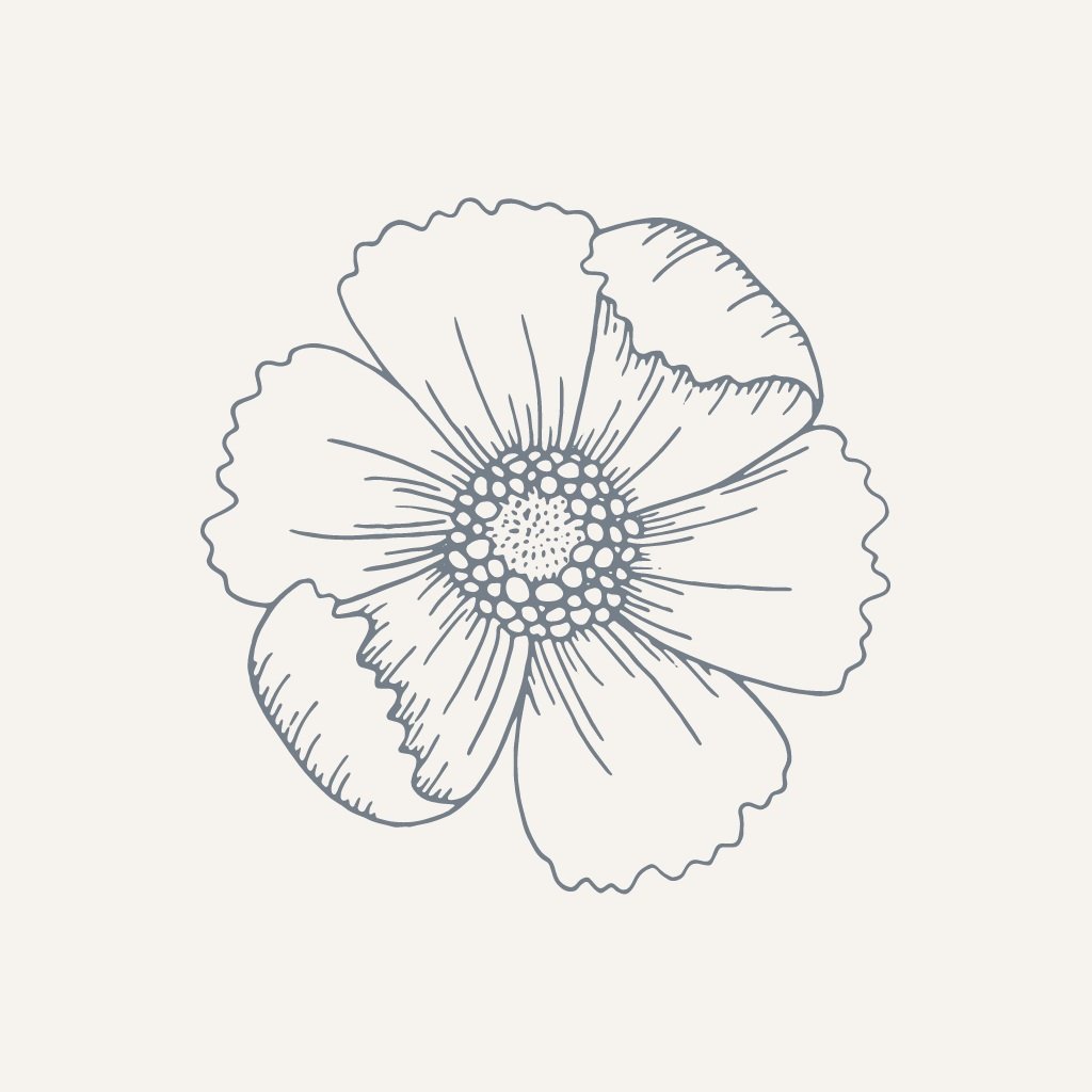 What is Health Coaching with Emily like?