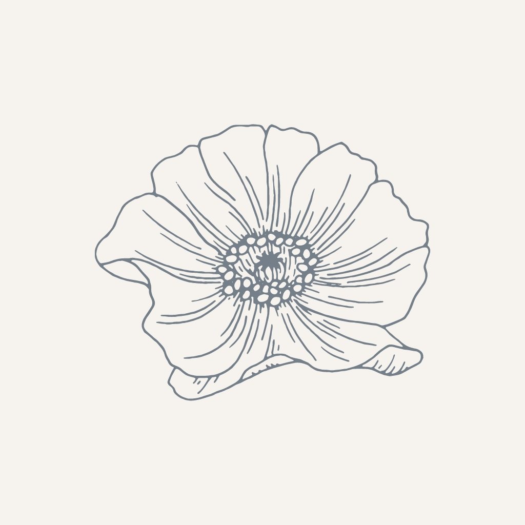 What is the difference between an Integrative Health & Wellness Coach and a Therapist?