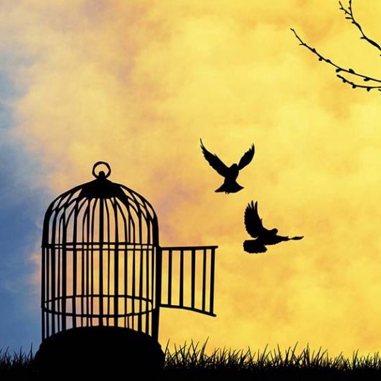 Find Your Freedom Vinyasa Flow - 